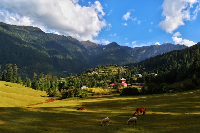 Manali-Shimla Volvo Budget Land Package