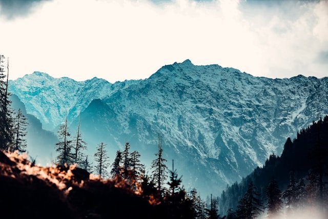 Dalhousie–Dharamshala Budget Land Package