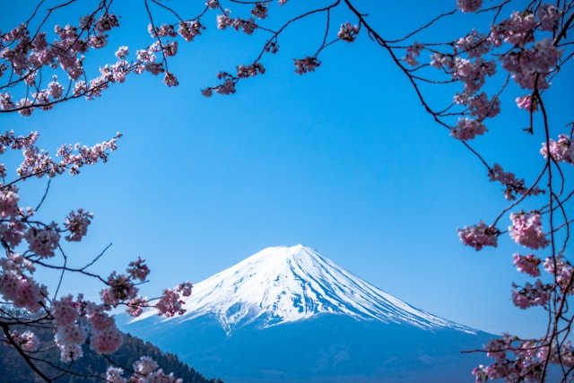 Ultimate Japan Discovery Package
