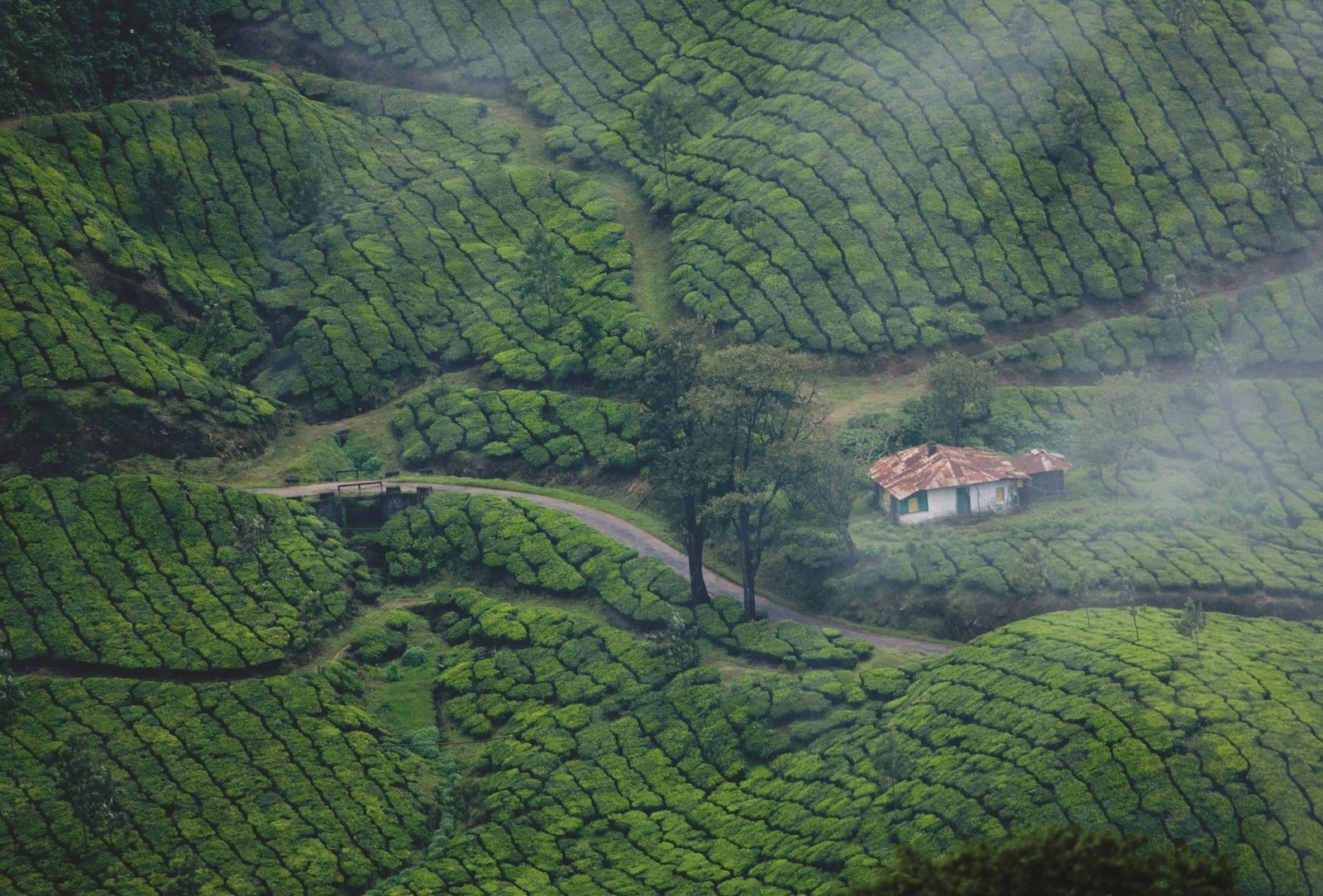 kerala1