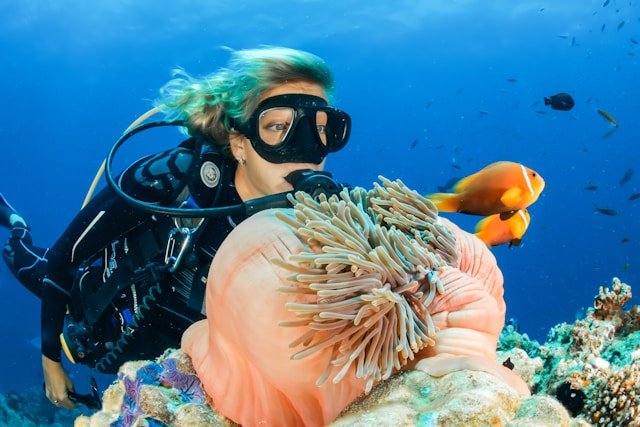 Maldives 4 Nights / 5 Days All-Inclusive Tropical Retreat