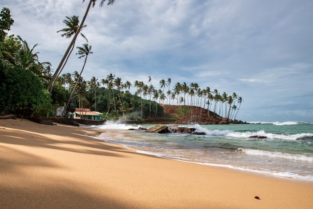 Sri Lanka Tropical Paradise Package