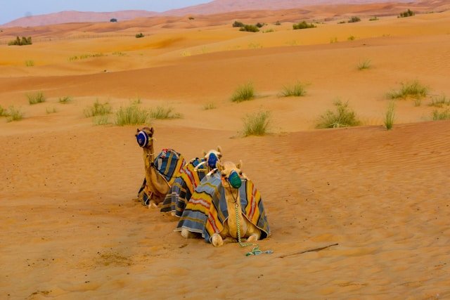Ultimate Dubai Package