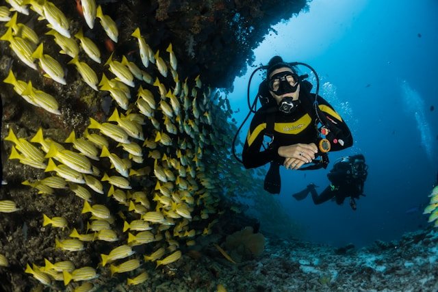 Andaman Tourism Budget Land Package
