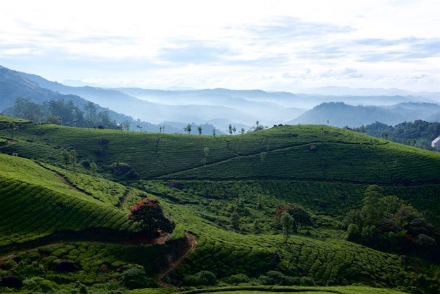 Sri Lanka Hill Country & Beach Package